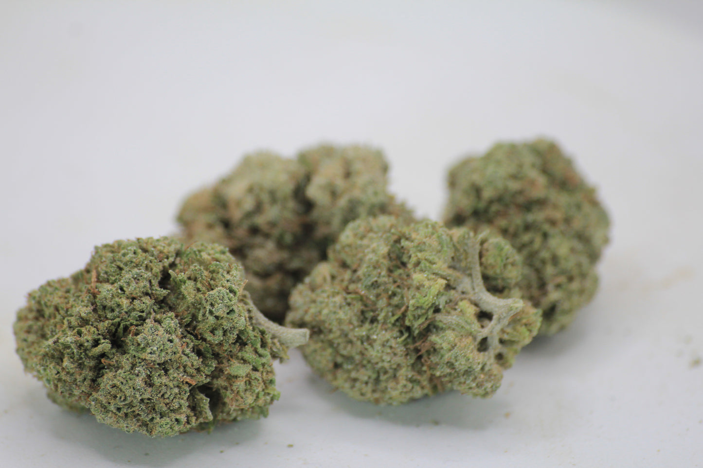 Boutique Orange Martini | 18% CBD | 25% THCa