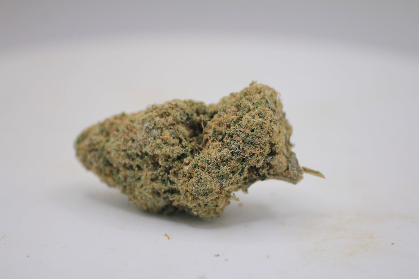 🫐✨ BOUTIQUE BLUEBERRY MUFFIN X ✨🫐 25% THCa | 16% CBD | Sweet & Plush Smoke