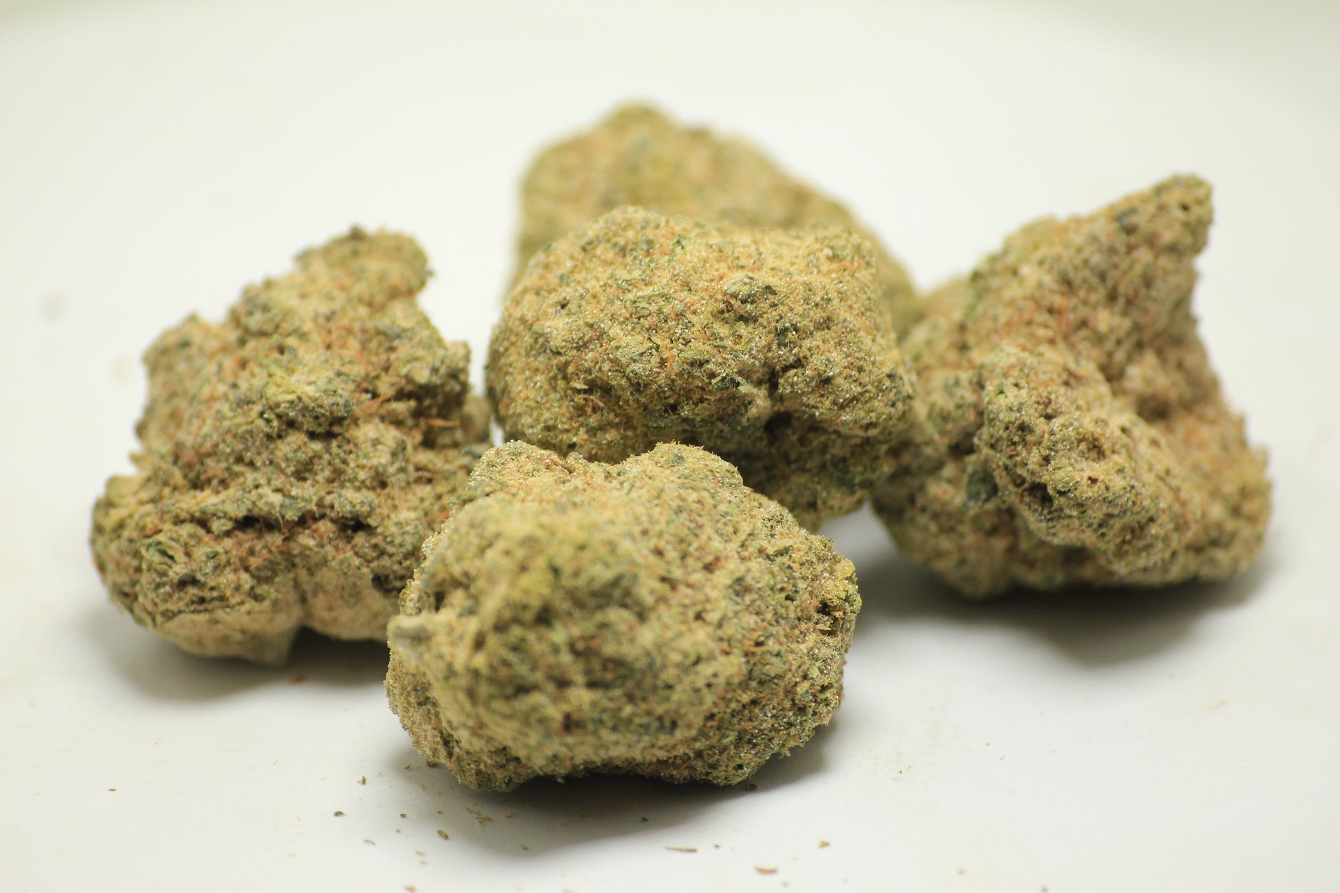 the best thca flower shop in the UK